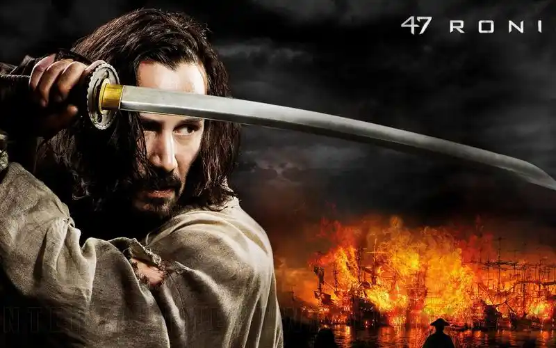 51影视热播剧集专区